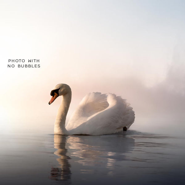 Bubbles 001 Group A - 12 PNG Transparent Overlays High Resolution Compositions - Instant Download Digital Clip art