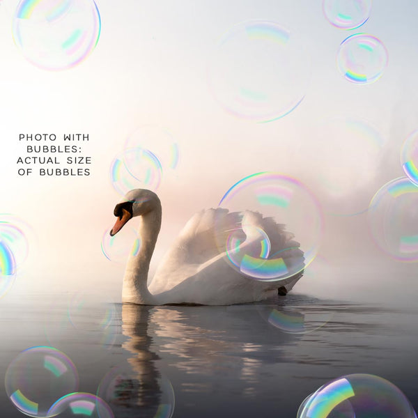 Bubbles 001 Group A - 12 PNG Transparent Overlays High Resolution Compositions - Instant Download Digital Clip art