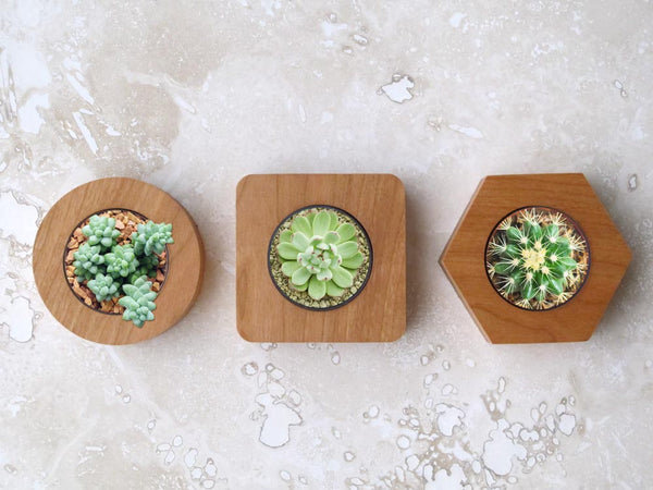 Tea Light Candle Holders Home decor Set of 3 Natural Solid Hardwood candle holder wedding bridal shower birthday gift