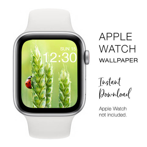 Apple Watch WALLPAPER - Ladybug on Plant - Instant Download - Watch Background Apple Watch face design