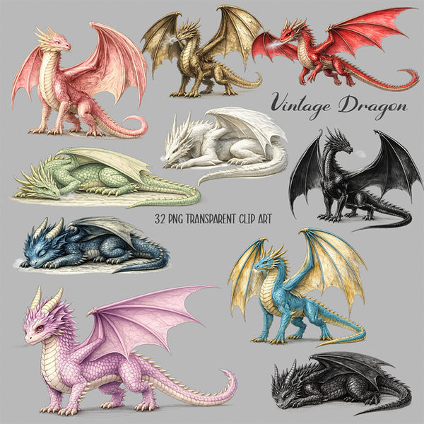 Vintage Dragon Clip Art - 32 PNG Transparent Images High Resolution - Instant Download Digital Clipart