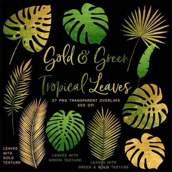 Gold And Green Tropical Leaves 01 - 27 Transparent Objects PNG Overlays - Instant Download Digital Clip art